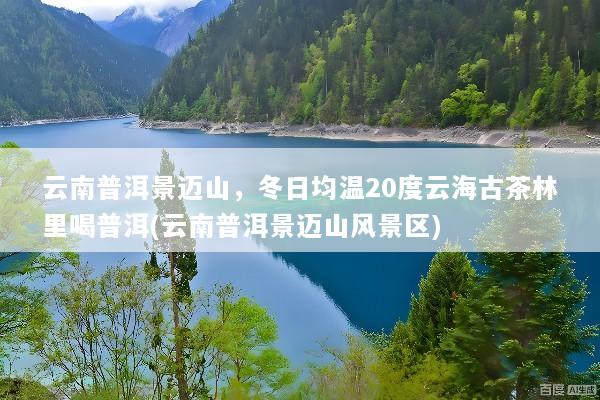 云南普洱景迈山，冬日均温20度云海古茶林里喝普洱(云南普洱景迈山风景区)