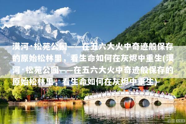 漠河·松苑公园——在五六大火中奇迹般保存的原始松林里，看生命如何在灰烬中重生(漠河·松苑公园——在五六大火中奇迹般保存的原始松林里，看生命如何在灰烬中重生)