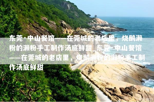 东莞·中山餐馆——在莞城的老店里，烧鹅濑粉的濑粉手工制作汤底鲜甜_东莞·中山餐馆——在莞城的老店里，烧鹅濑粉的濑粉手工制作汤底鲜甜