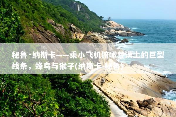秘鲁·纳斯卡——乘小飞机俯瞰荒漠上的巨型线条，蜂鸟与猴子(纳斯卡 秘鲁)