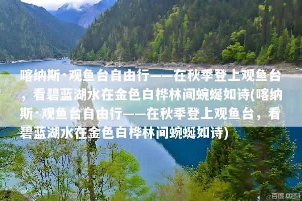 喀纳斯·观鱼台自由行——在秋季登上观鱼台，看碧蓝湖水在金色白桦林间蜿蜒如诗(喀纳斯·观鱼台自由行——在秋季登上观鱼台，看碧蓝湖水在金色白桦林间蜿蜒如诗)