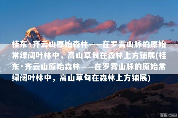 桂东·齐云山原始森林——在罗霄山脉的原始常绿阔叶林中，高山草甸在森林上方铺展(桂东·齐云山原始森林——在罗霄山脉的原始常绿阔叶林中，高山草甸在森林上方铺展)