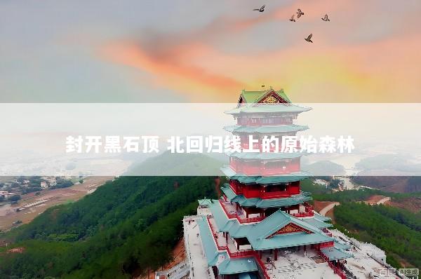 封开黑石顶 北回归线上的原始森林