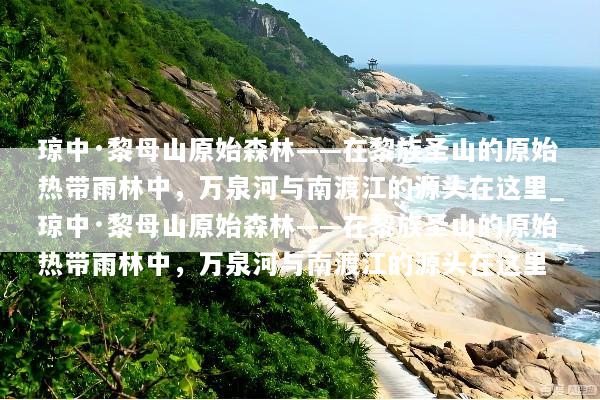 琼中·黎母山原始森林——在黎族圣山的原始热带雨林中，万泉河与南渡江的源头在这里_琼中·黎母山原始森林——在黎族圣山的原始热带雨林中，万泉河与南渡江的源头在这里