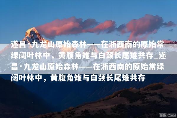 文章配图