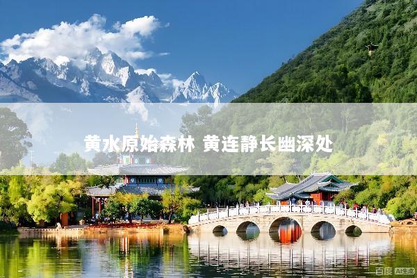 黄水原始森林 黄连静长幽深处