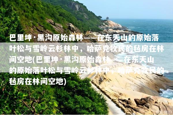 巴里坤·黑沟原始森林——在东天山的原始落叶松与雪岭云杉林中，哈萨克牧民的毡房在林间空地(巴里坤·黑沟原始森林——在东天山的原始落叶松与雪岭云杉林中，哈萨克牧民的毡房在林间空地)