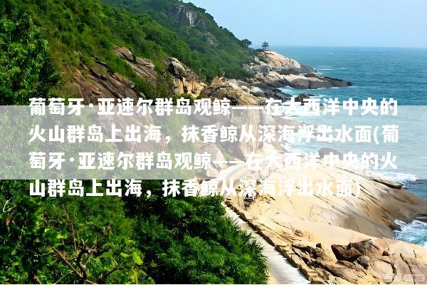 葡萄牙·亚速尔群岛观鲸——在大西洋中央的火山群岛上出海，抹香鲸从深海浮出水面(葡萄牙·亚速尔群岛观鲸——在大西洋中央的火山群岛上出海，抹香鲸从深海浮出水面)