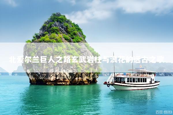 北爱尔兰巨人之路玄武岩柱与浪花的远古之歌
