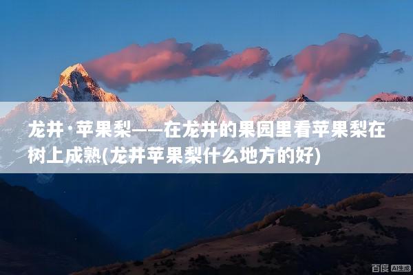 龙井·苹果梨——在龙井的果园里看苹果梨在树上成熟(龙井苹果梨什么地方的好)
