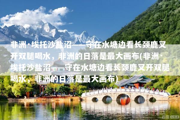 文章配图